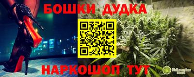 молекула духа Коммунар
